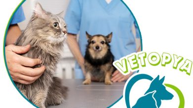 Urla Veteriner Kliniği