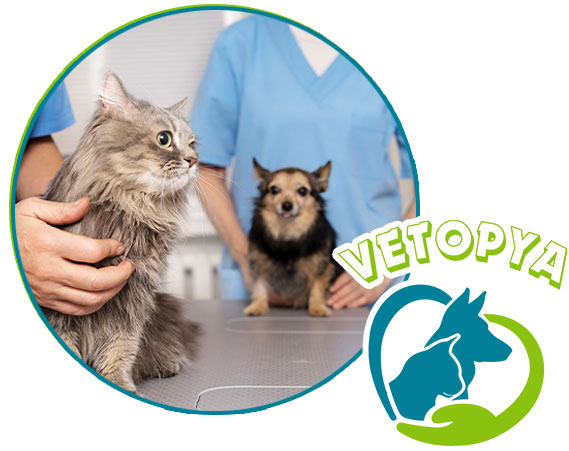 Urla Veteriner Kliniği